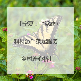 宁夏：“党建+科特派”架起服务乡村连心桥
