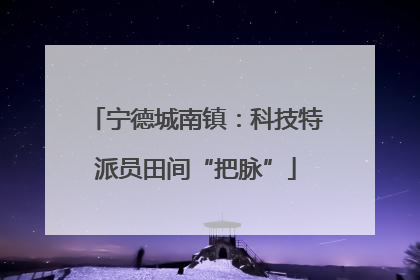 宁德城南镇：科技特派员田间“把脉”