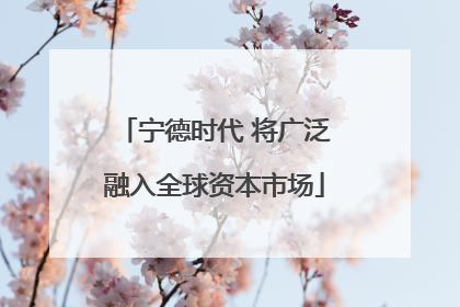宁德时代 将广泛融入全球资本市场