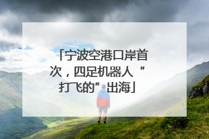 宁波空港口岸首次，四足机器人“打飞的”出海