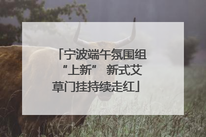 宁波端午氛围组“上新” 新式艾草门挂持续走红