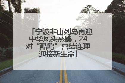 宁波韭山列岛再迎中华凤头燕鸥，24对“酷鸥”喜结连理迎接新生命