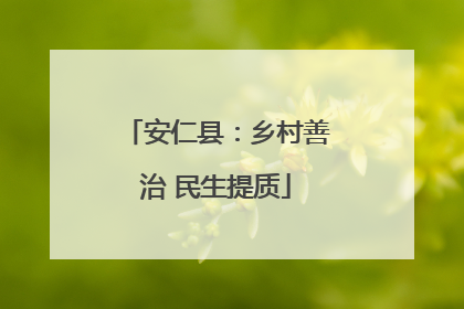 安仁县：乡村善治 民生提质