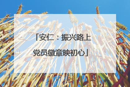 安仁：振兴路上 党员徽章映初心