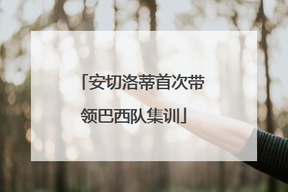 安切洛蒂首次带领巴西队集训