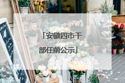 安徽四市干部任前公示
