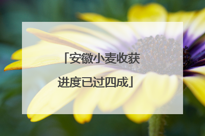 安徽小麦收获进度已过四成