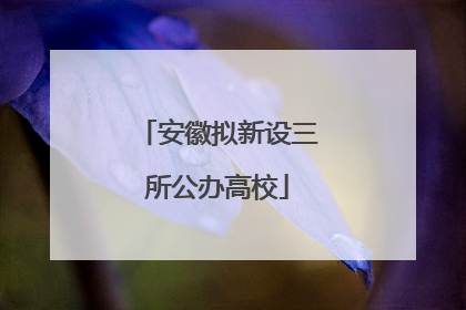安徽拟新设三所公办高校