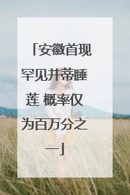 安徽首现罕见并蒂睡莲 概率仅为百万分之一