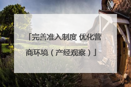 完善准入制度 优化营商环境（产经观察）