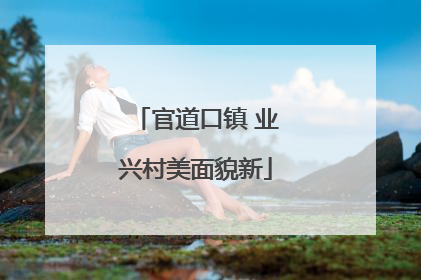 官道口镇 业兴村美面貌新