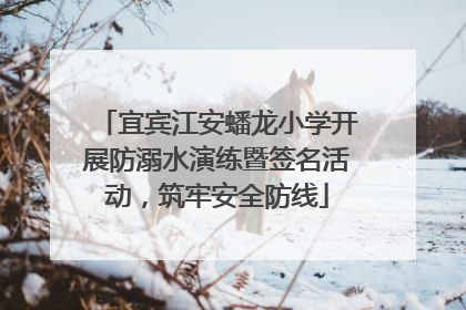 宜宾江安蟠龙小学开展防溺水演练暨签名活动，筑牢安全防线
