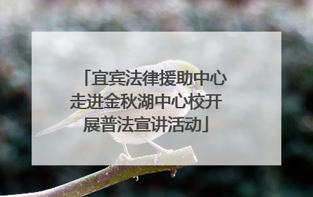 宜宾法律援助中心走进金秋湖中心校开展普法宣讲活动