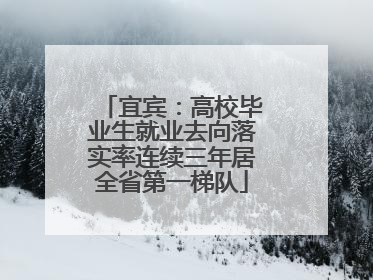 宜宾：高校毕业生就业去向落实率连续三年居全省第一梯队