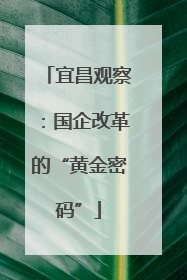 宜昌观察：国企改革的“黄金密码”