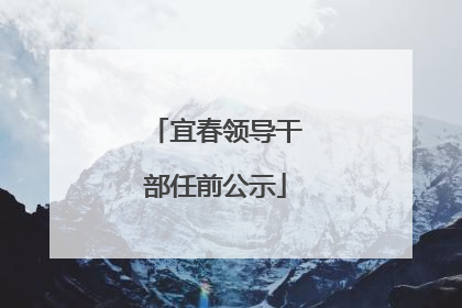 宜春领导干部任前公示