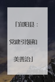 宜阳县：党建引领和美善治