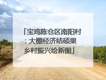 宝鸡陈仓区南阳村：大棚经济结硕果 乡村振兴绘新图
