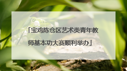 宝鸡陈仓区艺术类青年教师基本功大赛顺利举办