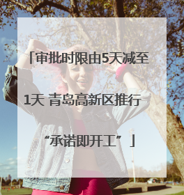 审批时限由5天减至1天 青岛高新区推行“承诺即开工”
