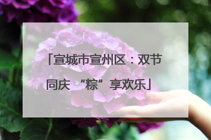 宣城市宣州区：双节同庆 “粽”享欢乐