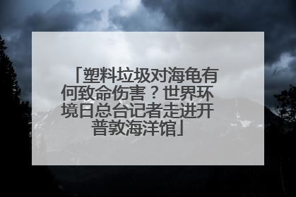塑料垃圾对海龟有何致命伤害？世界环境日总台记者走进开普敦海洋馆