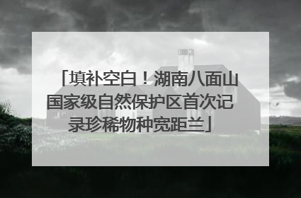 填补空白！湖南八面山国家级自然保护区首次记录珍稀物种宽距兰