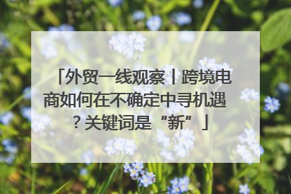 外贸一线观察丨跨境电商如何在不确定中寻机遇？关键词是“新”