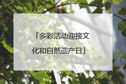 多彩活动迎接文化和自然遗产日