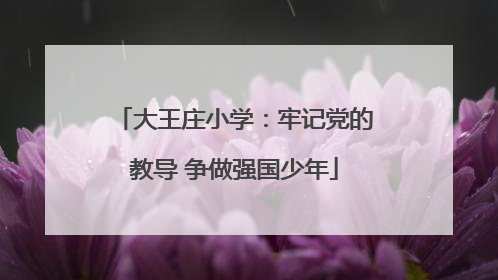 大王庄小学：牢记党的教导 争做强国少年