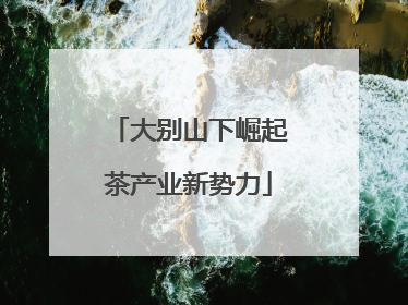大别山下崛起茶产业新势力