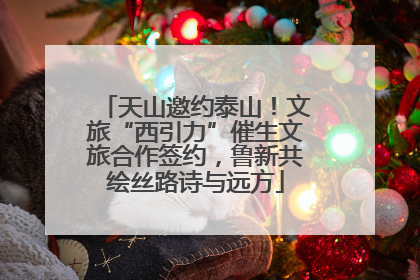 天山邀约泰山！文旅“西引力”催生文旅合作签约，鲁新共绘丝路诗与远方