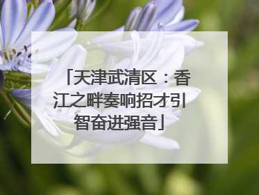 天津武清区：香江之畔奏响招才引智奋进强音