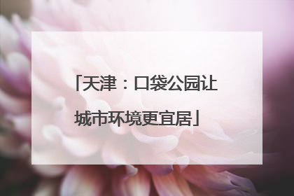天津：口袋公园让城市环境更宜居