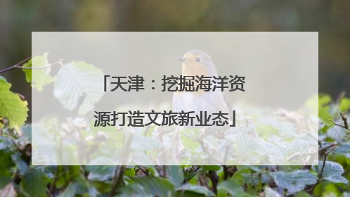 天津：挖掘海洋资源打造文旅新业态