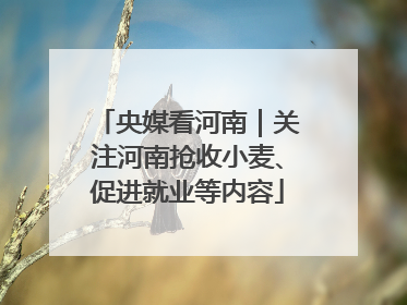央媒看河南｜关注河南抢收小麦、促进就业等内容