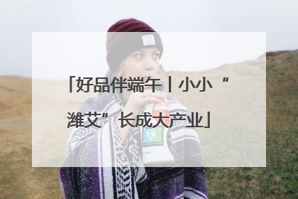 好品伴端午丨小小“潍艾”长成大产业