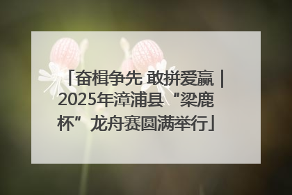 奋楫争先 敢拼爱赢｜2025年漳浦县“梁鹿杯”龙舟赛圆满举行