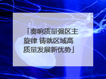 奏响质量强区主旋律 铸就区域高质量发展新优势