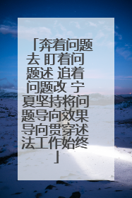 奔着问题去 盯着问题述 追着问题改 宁夏坚持将问题导向效果导向贯穿述法工作始终