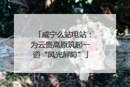 威宁么站电站：为云贵高原筑起一道“风光屏障”