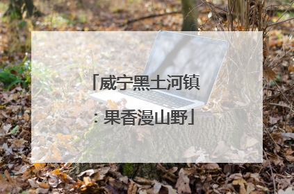 威宁黑土河镇：果香漫山野