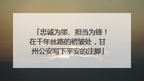 忠诚为墨、担当为锋！在千年丝路的褶皱处，甘州公安写下平安的注脚