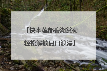 快来莲都碧湖赏荷 轻松解锁夏日浪漫