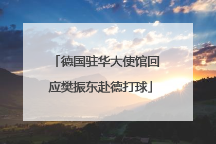 德国驻华大使馆回应樊振东赴德打球