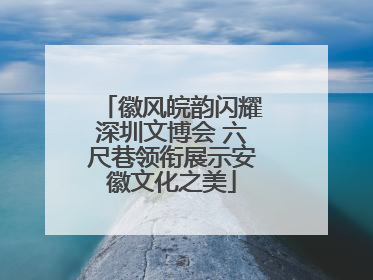 徽风皖韵闪耀深圳文博会 六尺巷领衔展示安徽文化之美