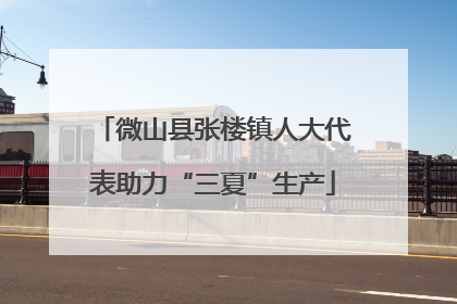 微山县张楼镇人大代表助力“三夏”生产