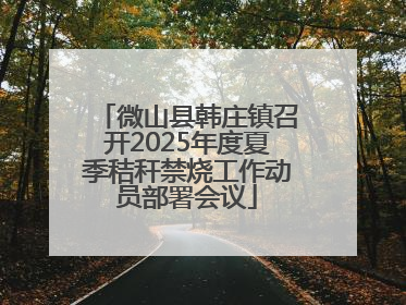 微山县韩庄镇召开2025年度夏季秸秆禁烧工作动员部署会议