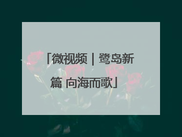 微视频｜鹭岛新篇 向海而歌