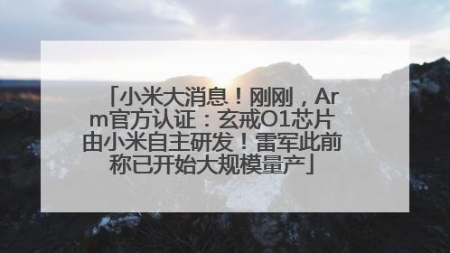 小米大消息！刚刚，Arm官方认证：玄戒O1芯片由小米自主研发！雷军此前称已开始大规模量产